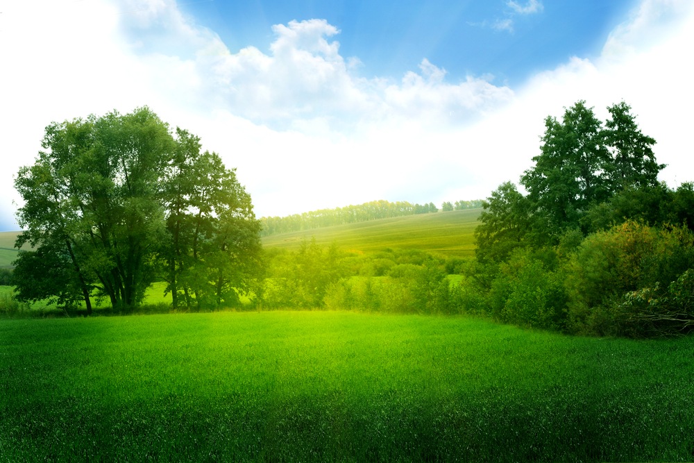 s&eacute;ance de sophrologie Reims