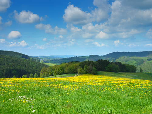 consultation sophrologie Reims